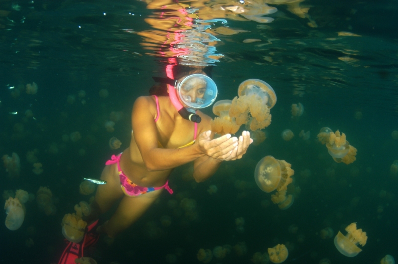 Jellyfish Lake, Palau, Micronesia