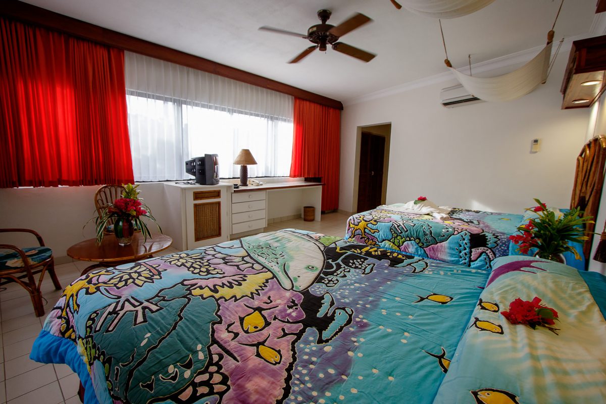 Standard View Room
