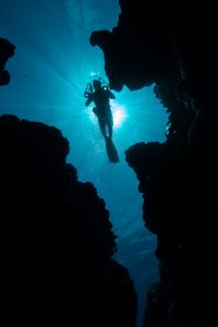 1ST PLACE REEF SCENIC: Lureen Ferretti
