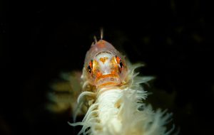 1ST PLACE MACRO: Sheila Ott