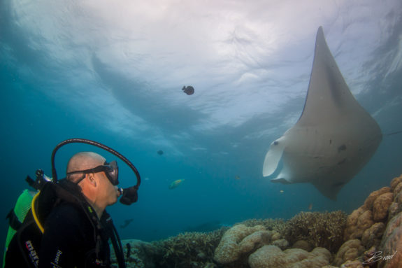 Yap Manta Ray Diving Micronesia