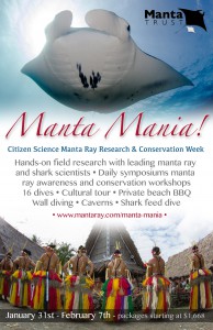 manta-mania_web