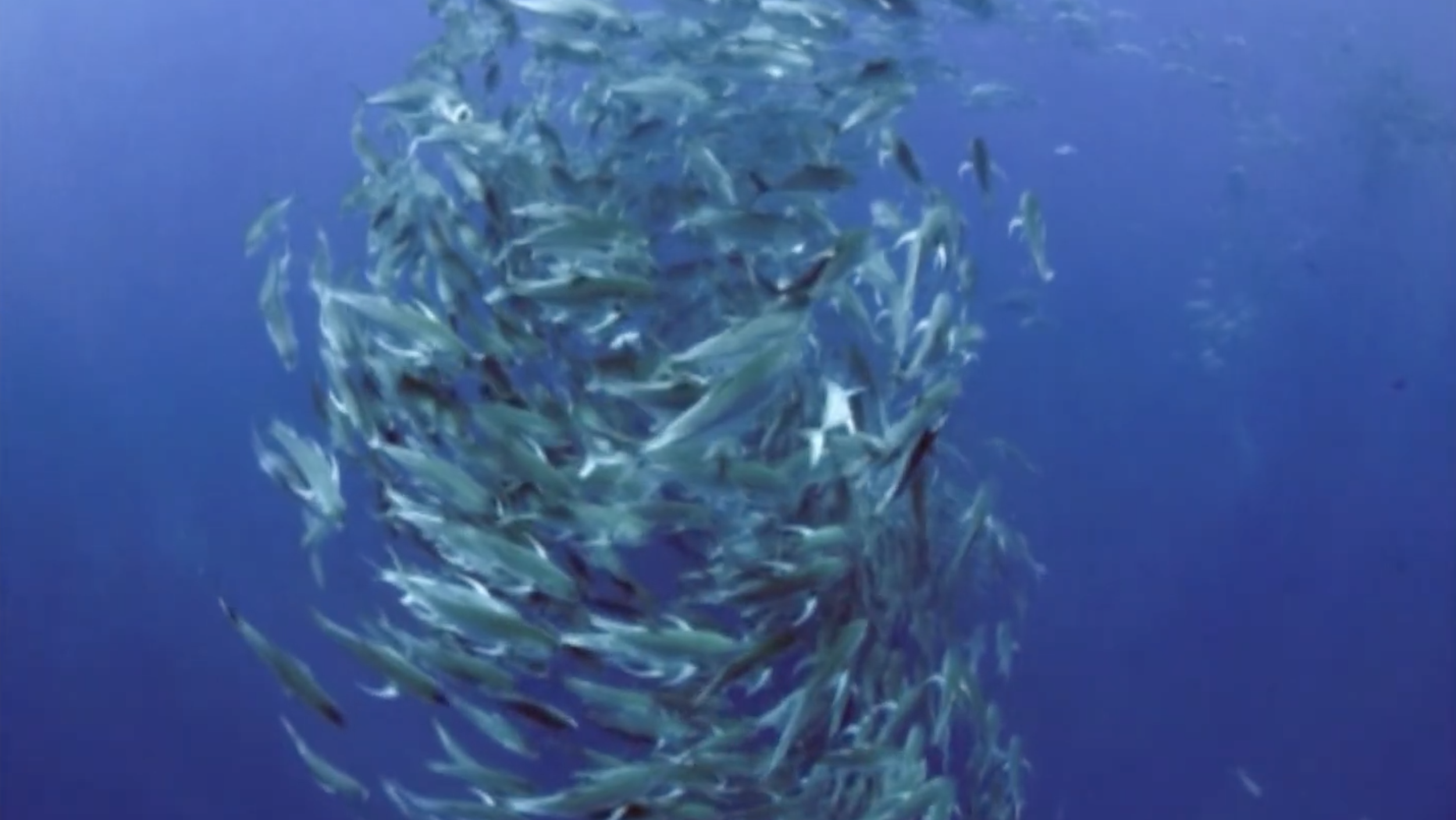 Cultural Tours of Yap with Manta Ray Bay Resort and Spa