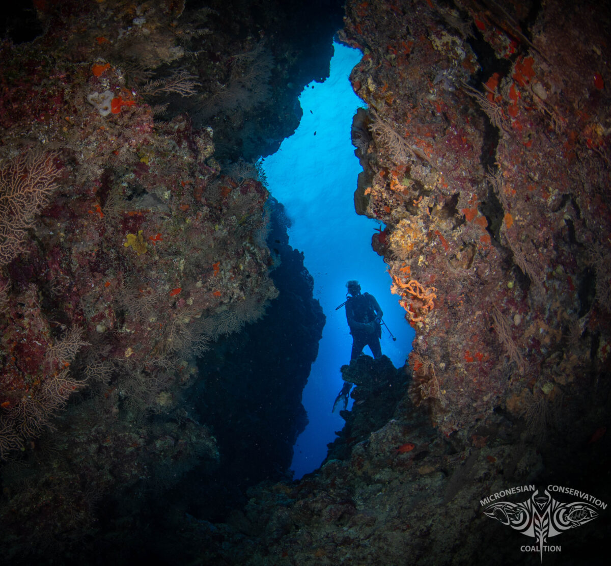 Pops at Yap Caverns 2023-03-04